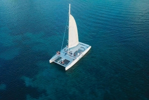 Desde Castries: Tour de día completo en catamarán a Soufriere