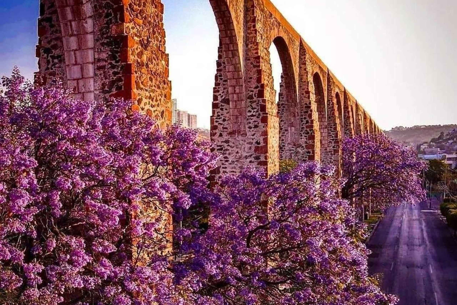 VANAF CDMX en PUEBLA: Queretaro, Guanajuato, Hidalgo, Morelia 4 DAGEN