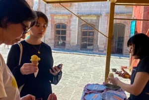 De CDMX: Visita de um dia à cidade colonial de San Miguel de Allende