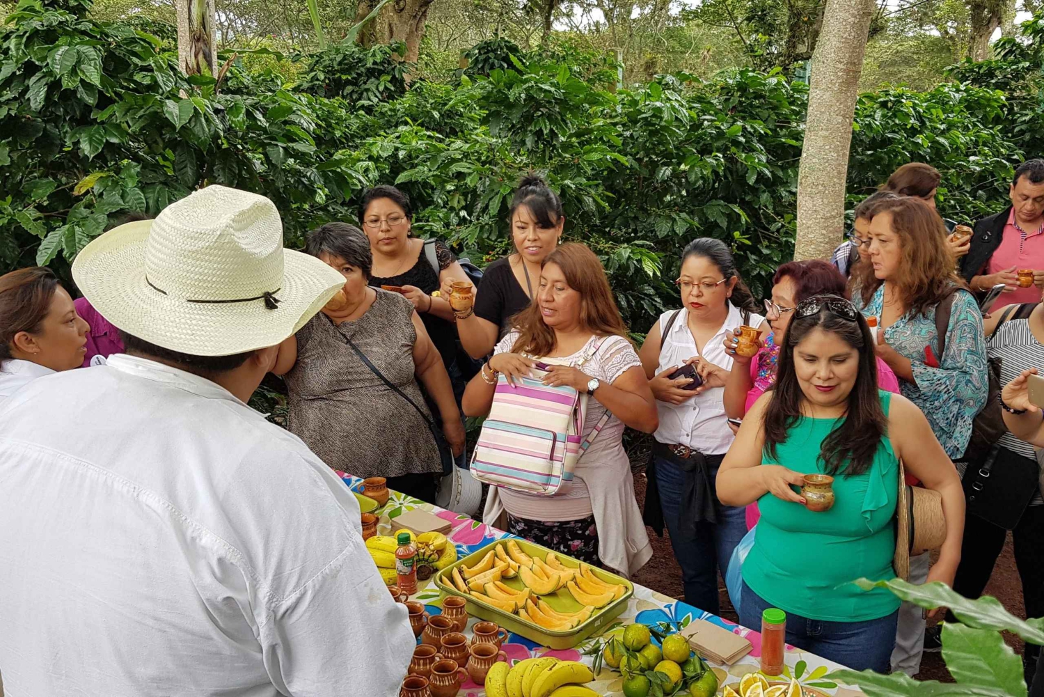 DE CDMX: Puebla, Oaxaca, Veracruz, Chiapas, Campeche, Yucatan 13 DIAS