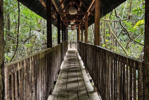 DE CDMX: Puebla, Oaxaca, Veracruz, Chiapas, Campeche, Yucatan 13 DIAS