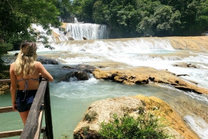 FROM CDMX: Puebla, Oaxaca, Veracruz, Chiapas, Villahermosa 9 DAYS