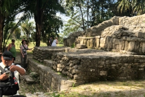 From Chetumal/Bacalar: Chacchoben Mayan Ruins Guided Tour