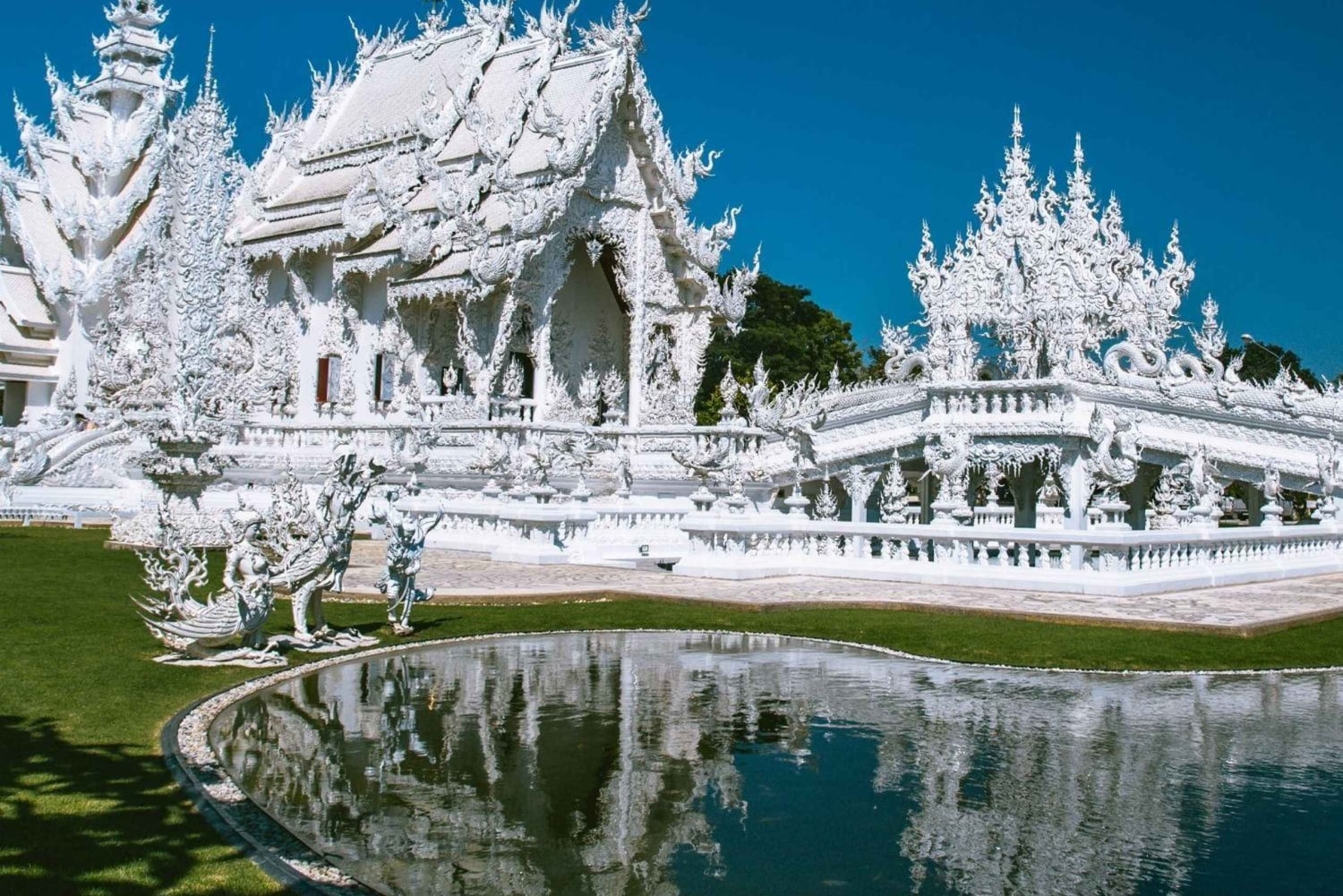 Z CM: biała, niebieska, czerwona/czarna świątynia w Chiang Rai z lunchem