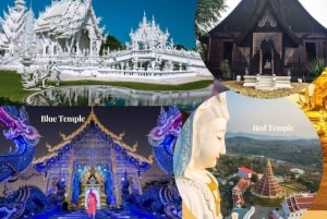 Z CM: biała, niebieska, czerwona/czarna świątynia w Chiang Rai z lunchem