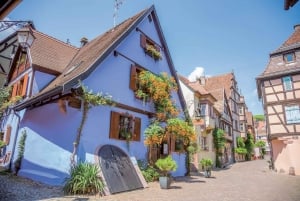 Vanuit Colmar: dagtour naar het kasteel Haut-Koenigsbourg en dorpjes