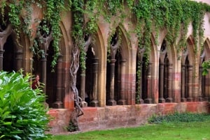 Vanuit Colmar: dagtour naar het kasteel Haut-Koenigsbourg en dorpjes