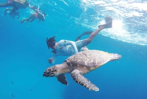 Da Cozumel: tour in barca a 3 barriere coralline con bevande e snorkeling