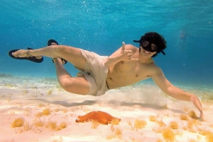 Da Cozumel: tour in barca a 3 barriere coralline con bevande e snorkeling