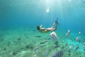 Da Cozumel: tour in barca a 3 barriere coralline con bevande e snorkeling