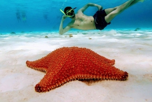 Da Cozumel: tour in barca a 3 barriere coralline con bevande e snorkeling