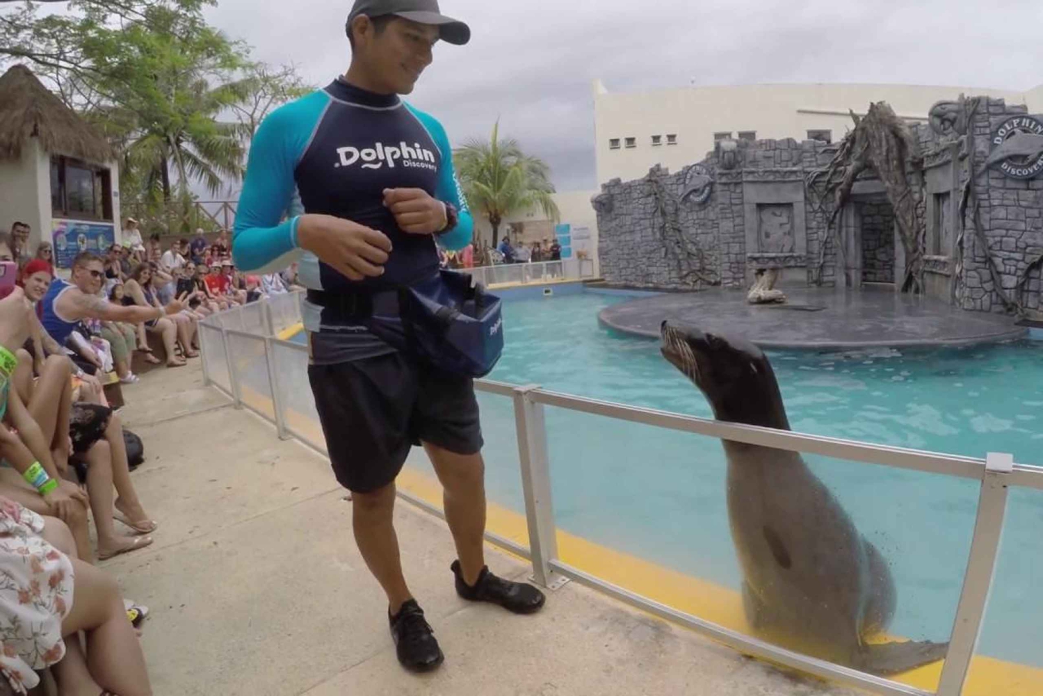 Vanuit Cozumel: Chankanaab-toegang + snorkelen + open bar + lunch