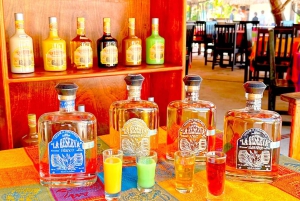 Vanuit Cozumel: Chankanaab-toegang + snorkelen + open bar + lunch