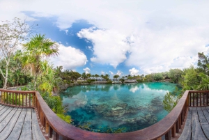 Vanuit Cozumel: Chankanaab-toegang + snorkelen + open bar + lunch