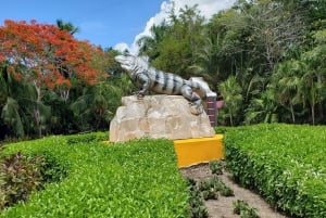 Vanuit Cozumel: Chankanaab-toegang + snorkelen + open bar + lunch