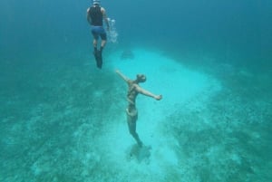 Vanuit Cozumel: Chankanaab-toegang + snorkelen + open bar + lunch