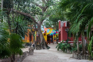 Vanuit Cozumel: Chankanaab-toegang + snorkelen + open bar + lunch