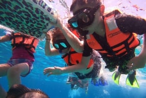 Fra Cozumel: Offisiell dagspass til Chankanaab Park og snorkling