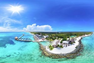 Fra Cozumel: Offisiell dagspass til Chankanaab Park og snorkling
