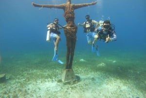 Fra Cozumel: Offisiell dagspass til Chankanaab Park og snorkling