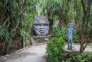 Fra Cozumel: Offisiell dagspass til Chankanaab Park og snorkling
