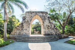 Fra Cozumel: Offisiell dagspass til Chankanaab Park og snorkling