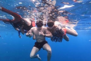 Fra Cozumel: Offisiell dagspass til Chankanaab Park og snorkling