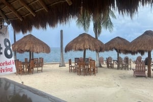 Fra Cozumel: Offisiell dagspass til Chankanaab Park og snorkling