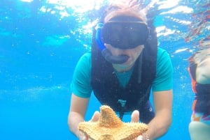 Fra Cozumel: Offisiell dagspass til Chankanaab Park og snorkling