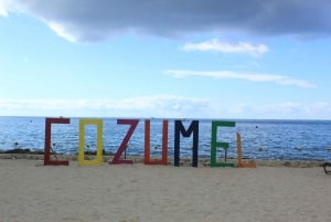 Fra Cozumel: Offisiell dagspass til Chankanaab Park og snorkling