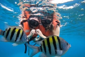 Fra Cozumel: Offisiell dagspass til Chankanaab Park og snorkling