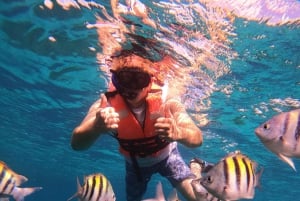 Fra Cozumel: Offisiell dagspass til Chankanaab Park og snorkling