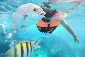 Fra Cozumel: Offisiell dagspass til Chankanaab Park og snorkling