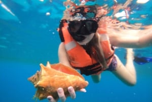 Fra Cozumel: Offisiell dagspass til Chankanaab Park og snorkling