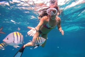 Fra Cozumel: Offisiell dagspass til Chankanaab Park og snorkling