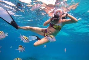 Fra Cozumel: Offisiell dagspass til Chankanaab Park og snorkling