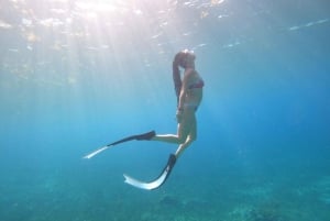 Fra Cozumel: Offisiell dagspass til Chankanaab Park og snorkling