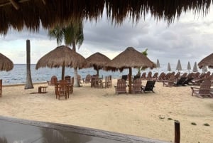 Fra Cozumel: Offisiell dagspass til Chankanaab Park og snorkling