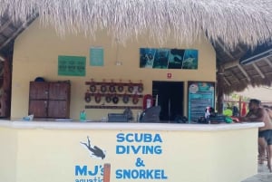 Fra Cozumel: Offisiell dagspass til Chankanaab Park og snorkling