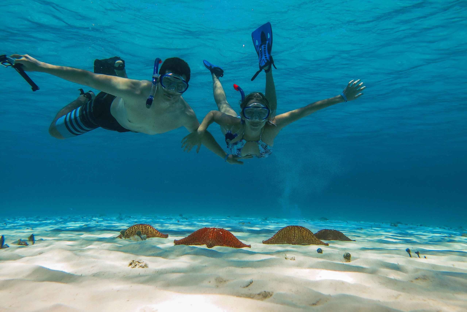 Cozumel: Schnorcheltour zu den Riffen Palancar, Columbia und Cielo