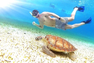 Cozumel: Palancar, Columbia and Cielo Reefs Snorkeling Tour