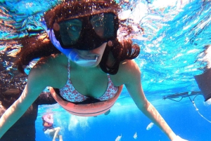 Cozumel: Palancar, Columbia and Cielo Reefs Snorkeling Tour