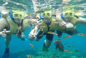 Cozumel: Palancar, Columbia and Cielo Reefs Snorkeling Tour