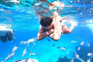 Cozumel: Palancar, Columbia and Cielo Reefs Snorkeling Tour