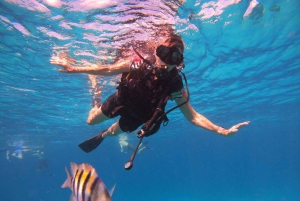 Cozumel: Palancar, Columbia and Cielo Reefs Snorkeling Tour