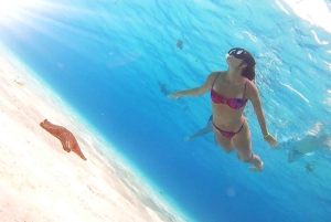 Cozumel: Palancar, Columbia and Cielo Reefs Snorkeling Tour