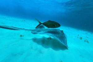 Cozumel: Palancar, Columbia and Cielo Reefs Snorkeling Tour