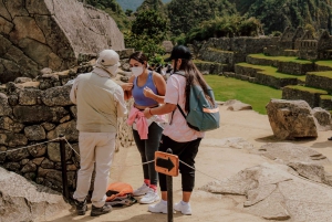 From Cusco: Machu Picchu Day Trip by Panoramic Train