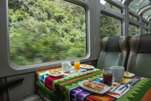 From Cusco: Machu Picchu Day Trip by Panoramic Train