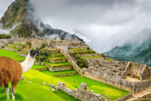 From Cusco: Machu Picchu Day Trip by Panoramic Train